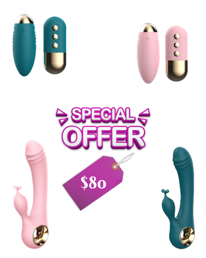 Dildo & Bullet Vibrator Set