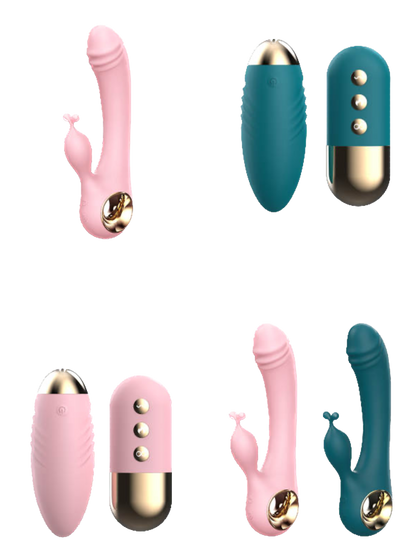 Dildo & Bullet Vibrator Set