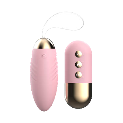 Dildo & Bullet Vibrator Set